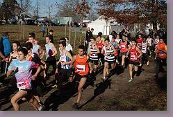 Begles 15.12.13 01 547 * 679 x 453 * (172KB)